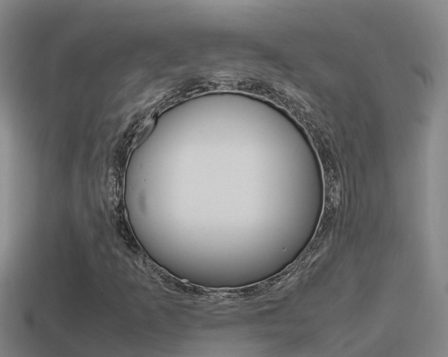 X0000114621253200910200954