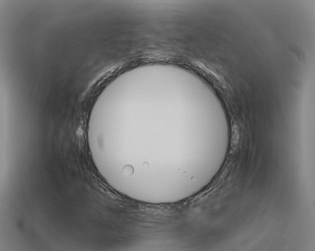 X0000114621254200910200954