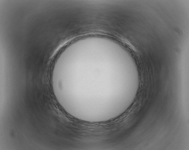 X0000114621256200910200954