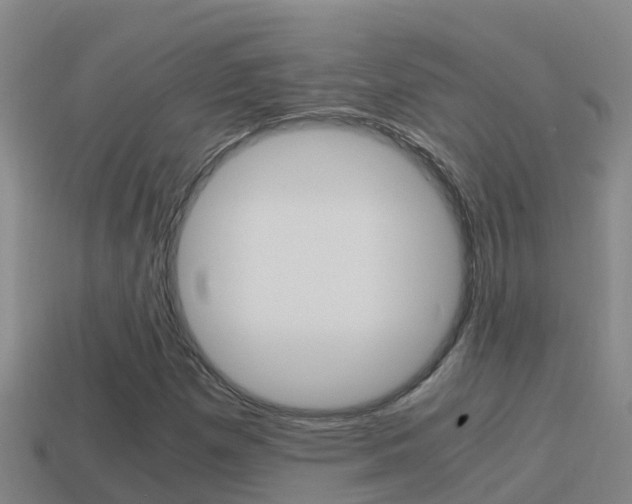 X0000114621257200910200954