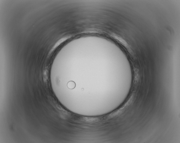 X0000114621258200910200954