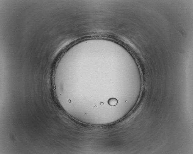 X0000114621259200910200954