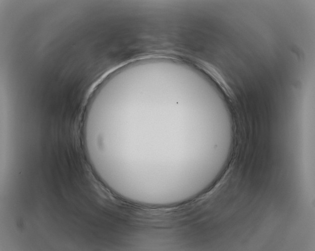 X0000114621260200910200954