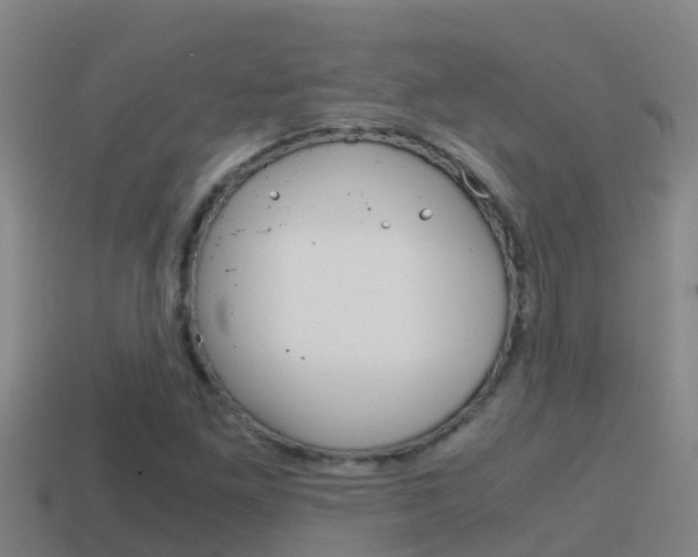 X0000114621261200910200954