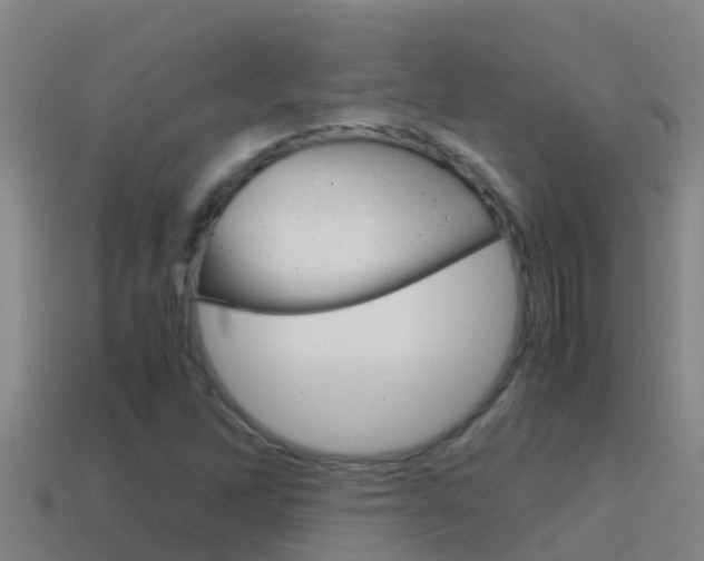 X0000114621262200910200954