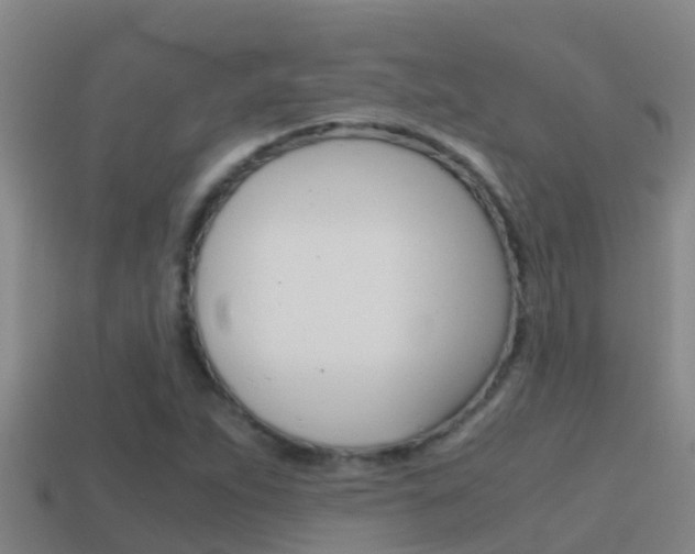 X0000114621263200910200954