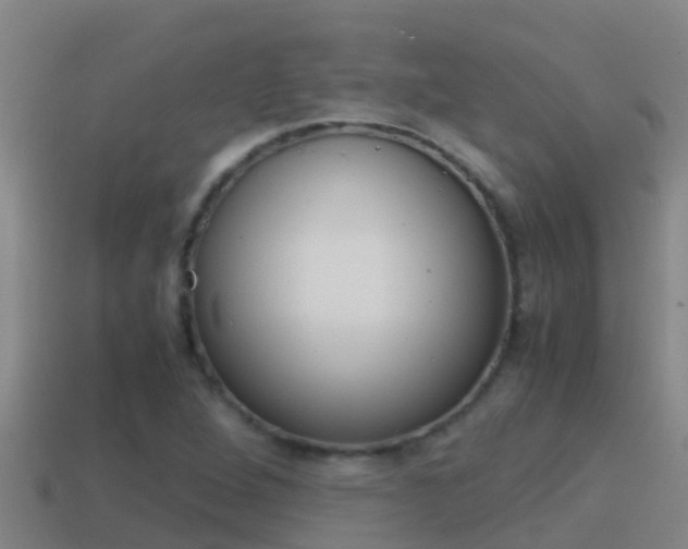 X0000114621264200910200954