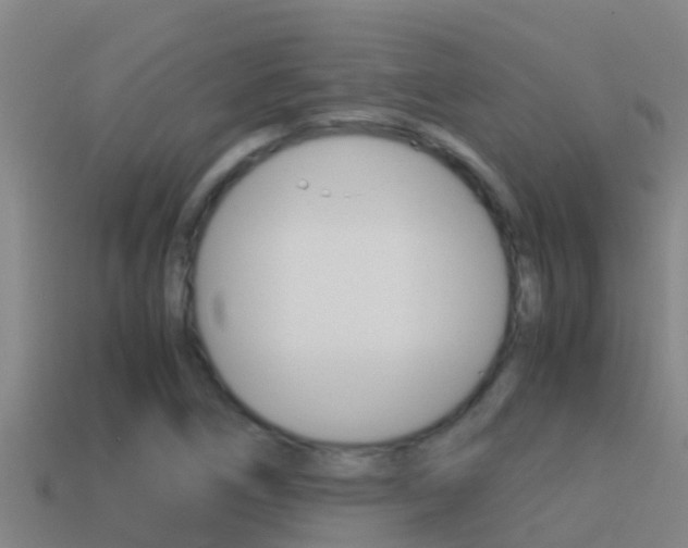 X0000114621266200910200954