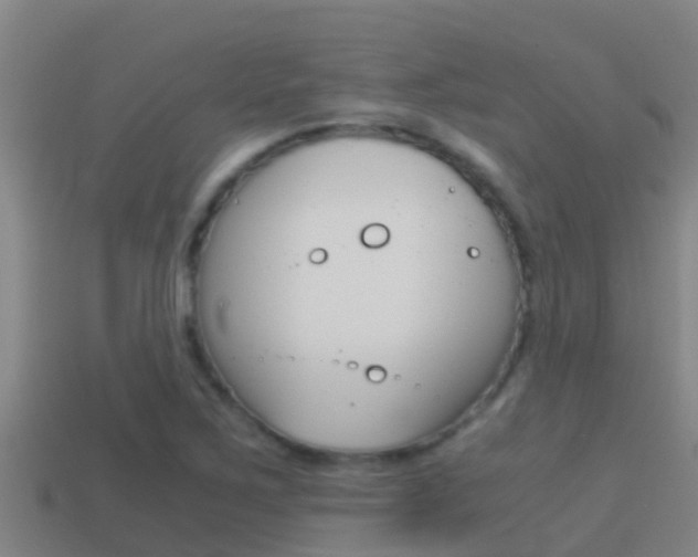 X0000114621267200910200954