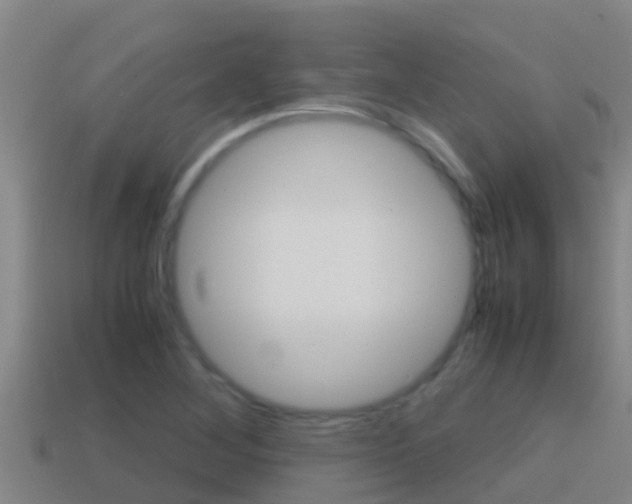 X0000114621268200910200954