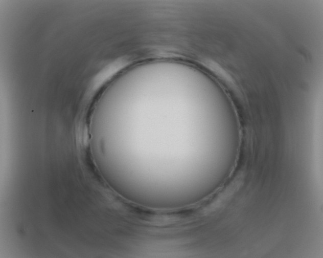 X0000114621269200910200954