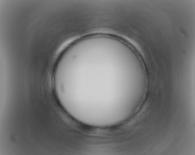 X0000114621271200910200954