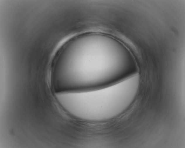X0000114621272200910200954