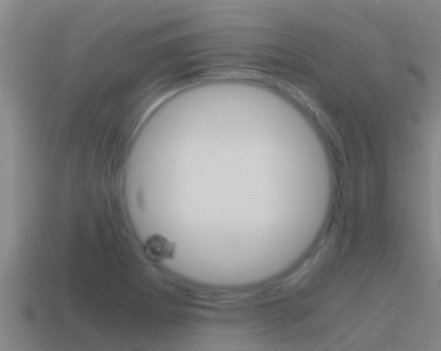 X0000114621273200910200954