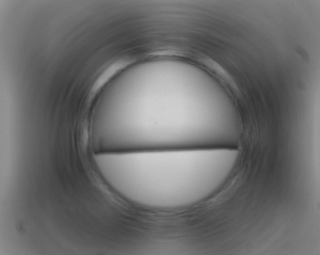 X0000114621274200910200954
