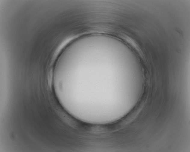X0000114621275200910200954