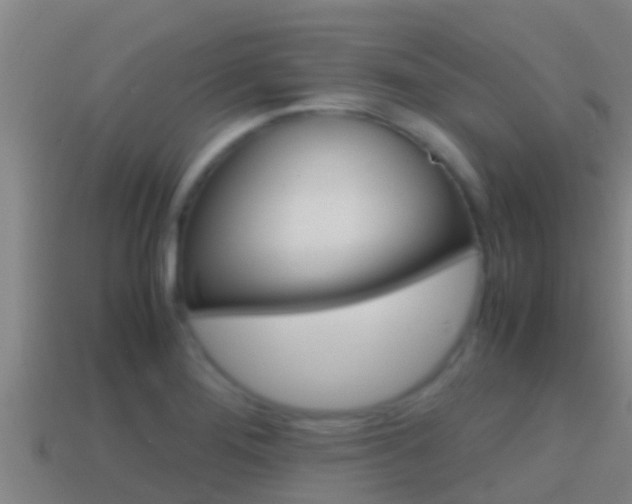 X0000114621276200910200954