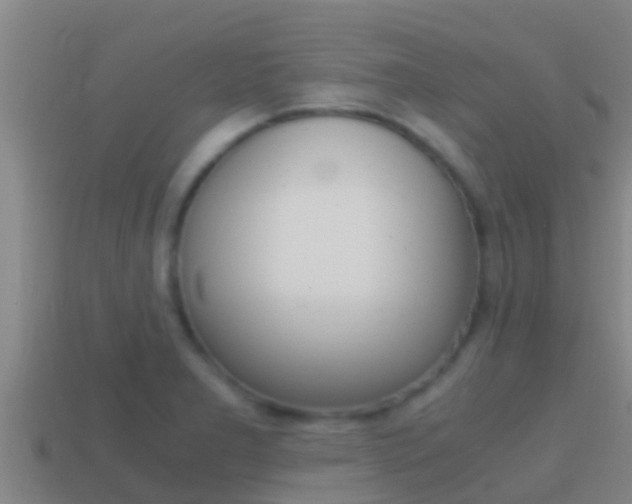 X0000114621277200910200954