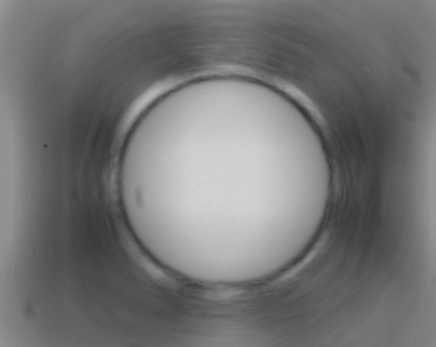 X0000114621278200910200954