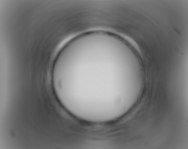 X0000114621279200910200954