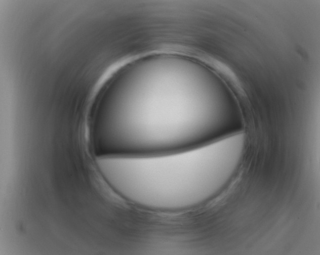 X0000114621280200910200954
