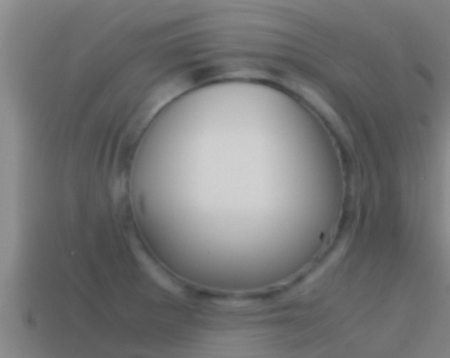 X0000114621281200910200954