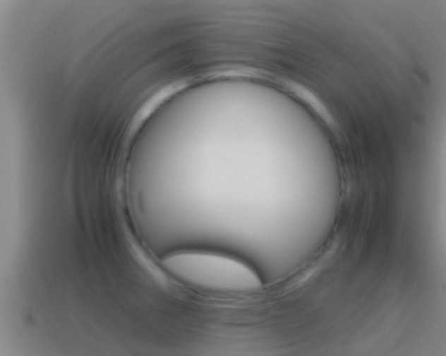 X0000114621282200910200954