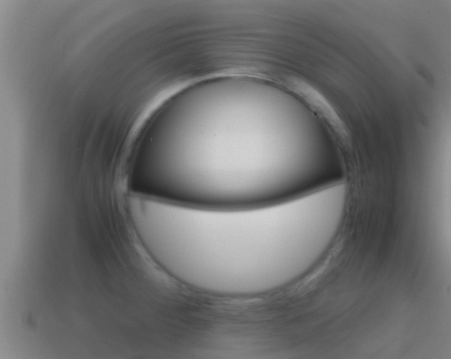 X0000114621284200910200954