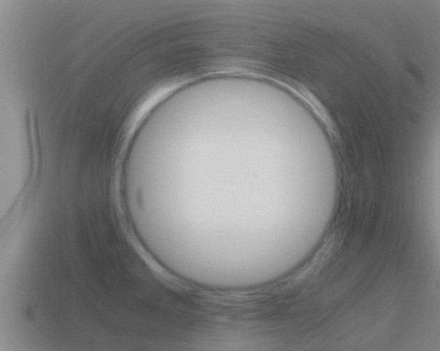 X0000114621285200910200954