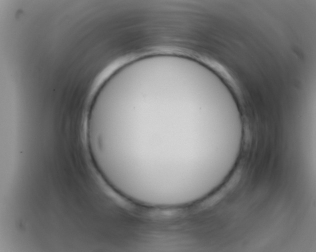 X0000114621286200910200954