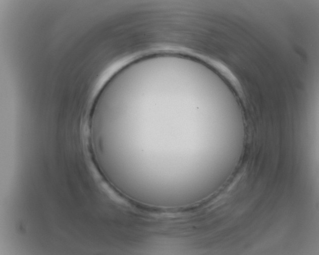 X0000114621287200910200954