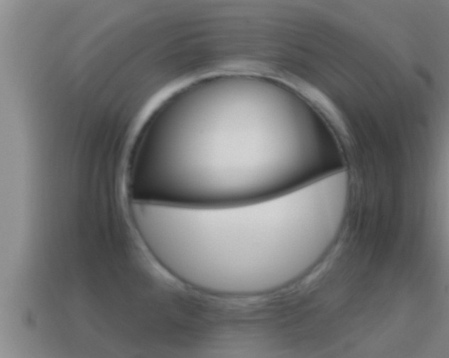 X0000114621288200910200954