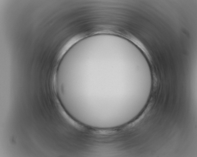 X0000114621290200910200954