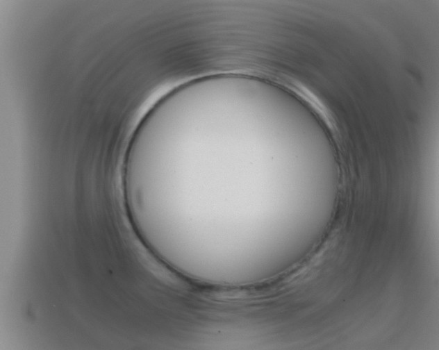 X0000114621291200910200954