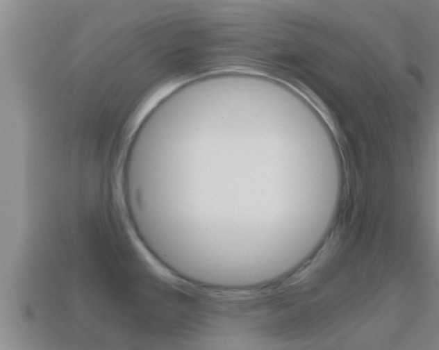 X0000114621293200910200954