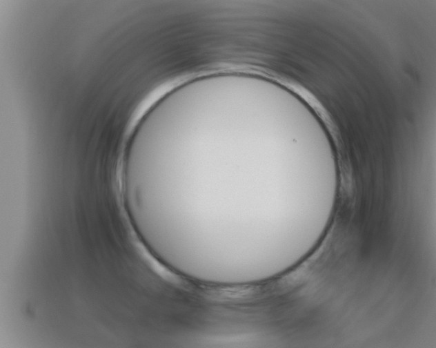 X0000114621294200910200954