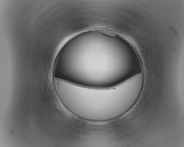 X0000114621296200910200954