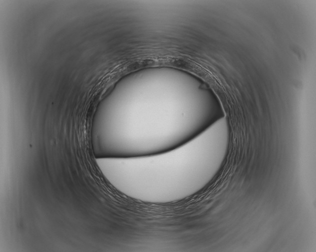 X0000114621298200910200953