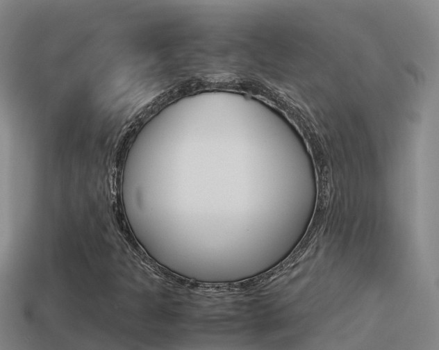 X0000114621301200910200953