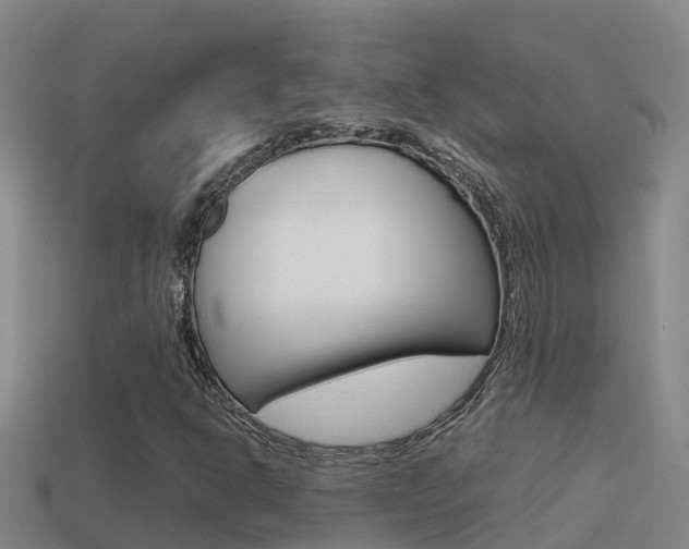 X0000114621302200910200953