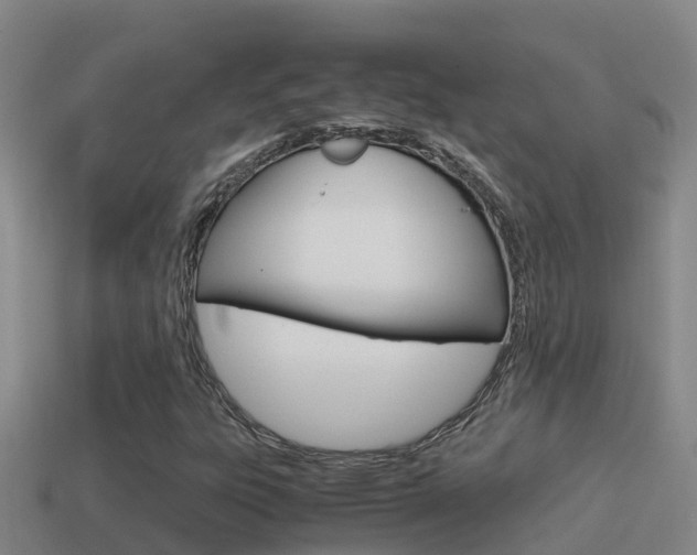 X0000114621303200910200953