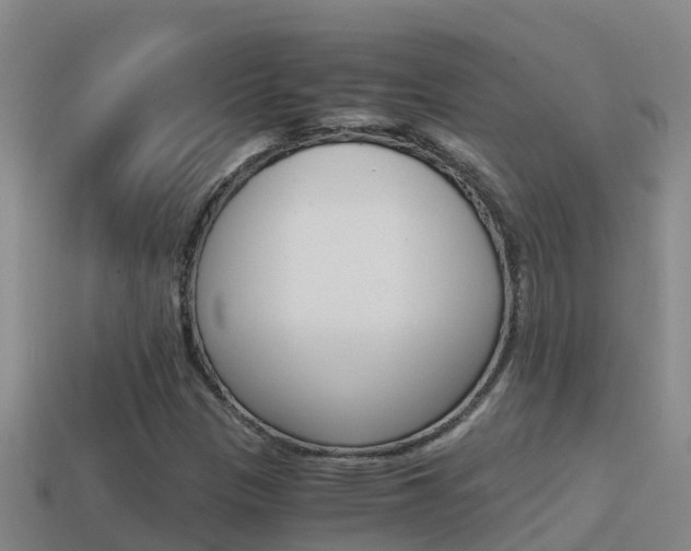 X0000114621305200910200953