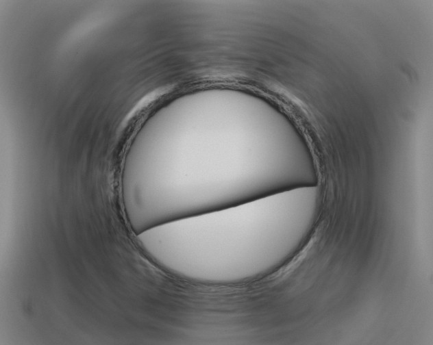 X0000114621306200910200953