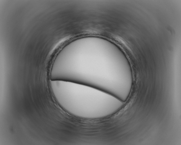 X0000114621307200910200953