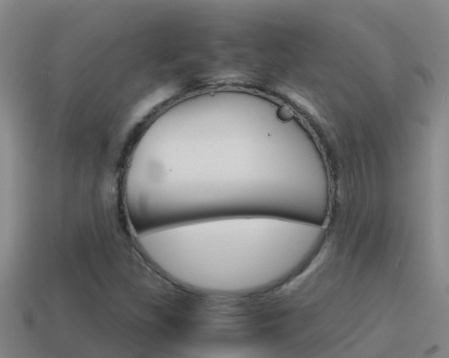 X0000114621309200910200953