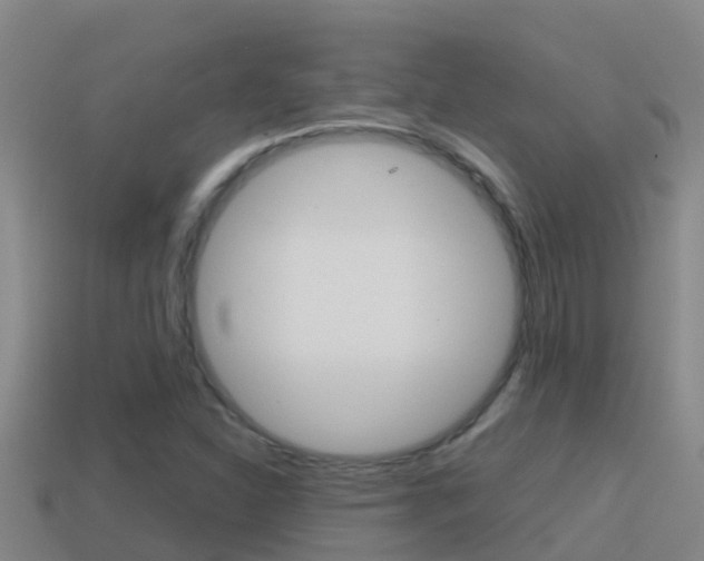 X0000114621310200910200953