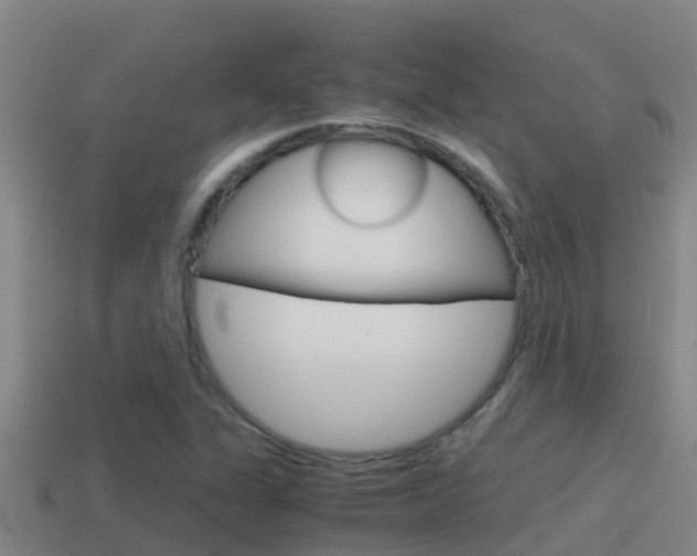 X0000114621311200910200953