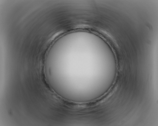 X0000114621313200910200953