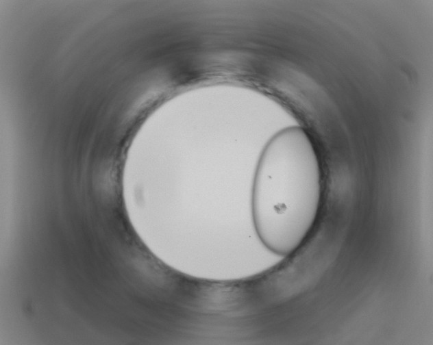 X0000114621314200910200953