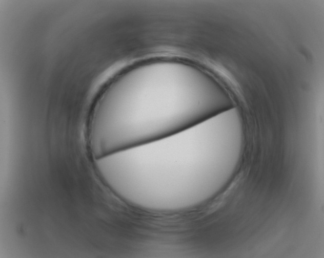X0000114621318200910200953